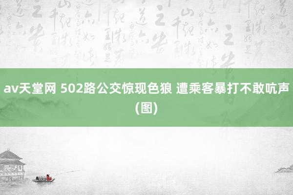 av天堂网 502路公交惊现色狼 遭乘客暴打不敢吭声(图)