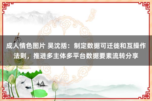 成人情色图片 吴沈括：制定数据可迁徙和互操作法则，推进多主体多平台数据要素流转分享