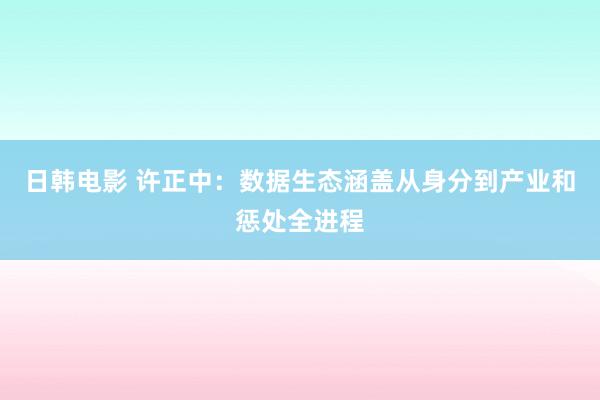 日韩电影 许正中：数据生态涵盖从身分到产业和惩处全进程