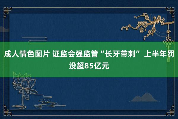 成人情色图片 证监会强监管“长牙带刺” 上半年罚没超85亿元