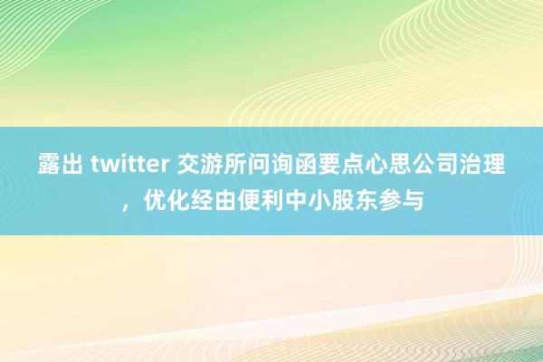 露出 twitter 交游所问询函要点心思公司治理，优化经由便利中小股东参与