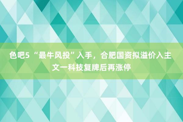 色吧5 “最牛风投”入手，合肥国资拟溢价入主 文一科技复牌后再涨停
