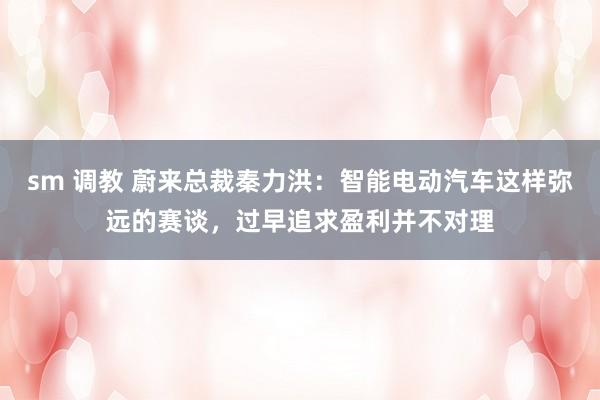 sm 调教 蔚来总裁秦力洪：智能电动汽车这样弥远的赛谈，过早追求盈利并不对理