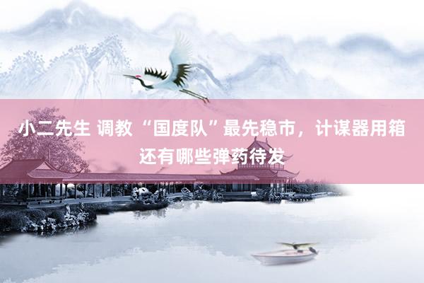 小二先生 调教 “国度队”最先稳市，计谋器用箱还有哪些弹药待发