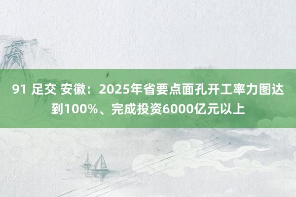 91 足交 安徽：2025年省要点面孔开工率力图达到100%、完成投资6000亿元以上
