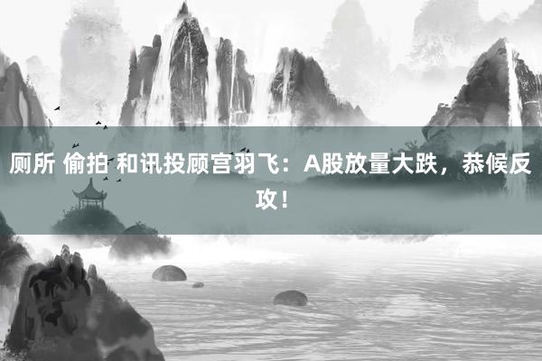 厕所 偷拍 和讯投顾宫羽飞：A股放量大跌，恭候反攻！